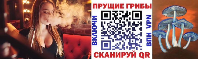 hydra зеркало  Опочка  Псилоцибиновые грибы Psilocybe 